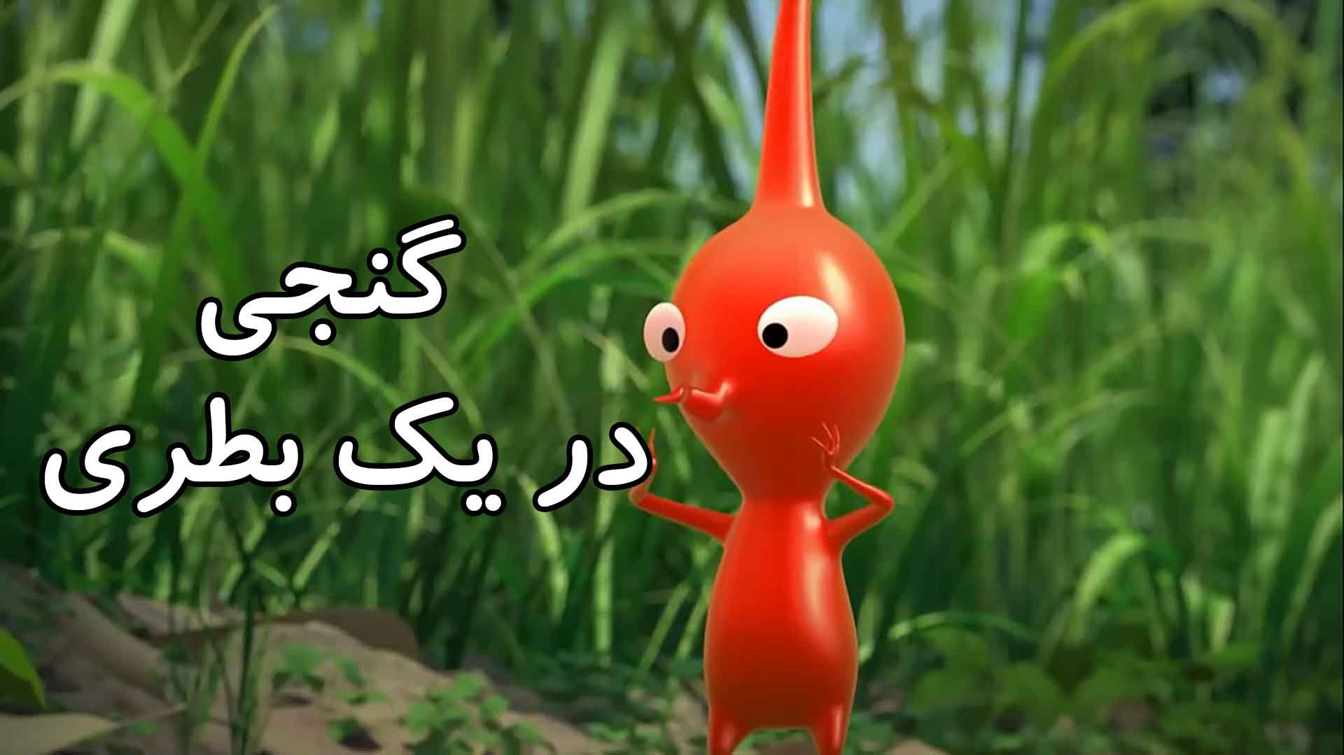 گنج در یک بطری 